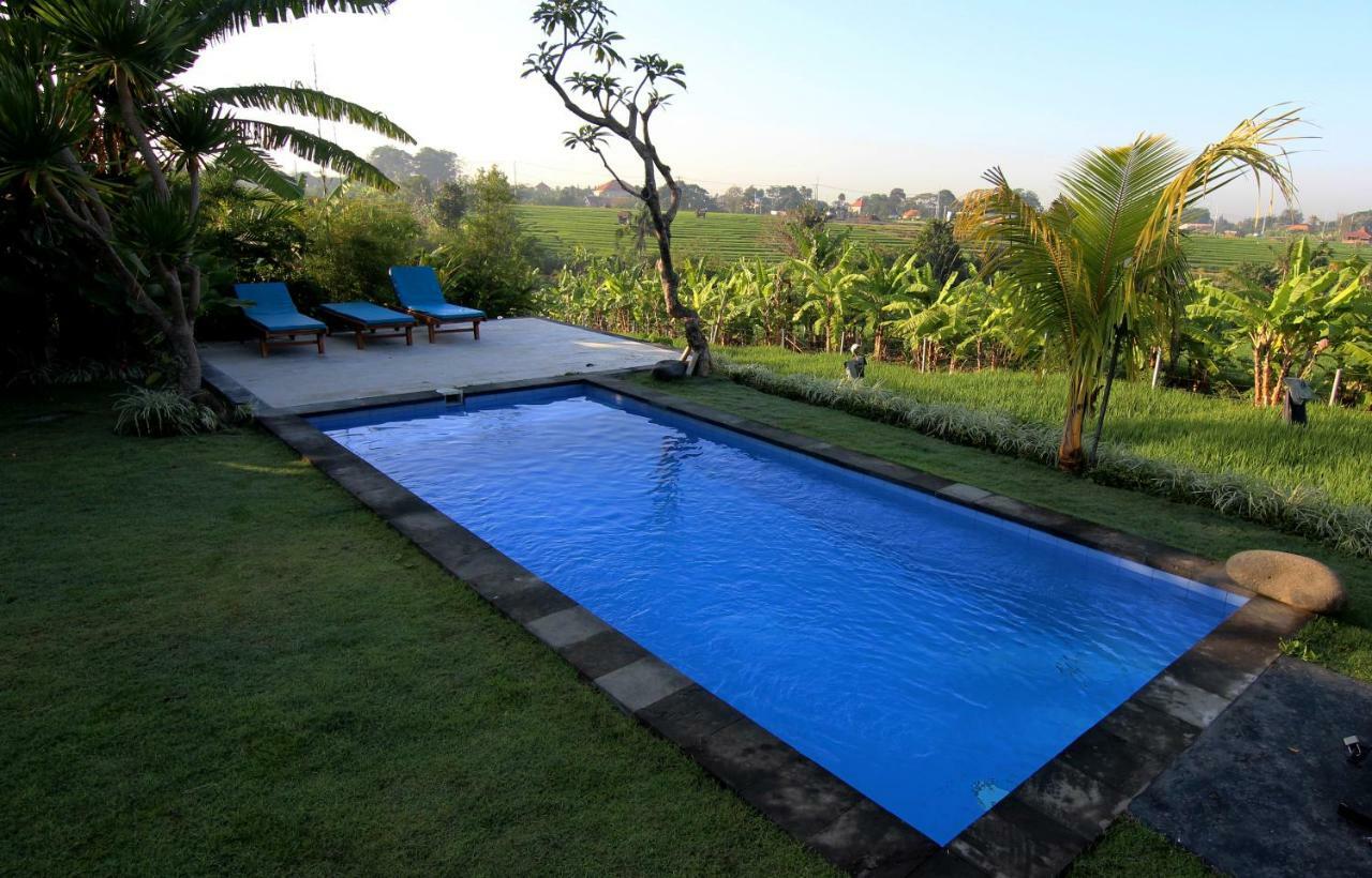 De Vir House Appartement Canggu Buitenkant foto